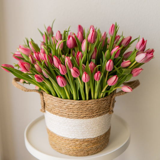 100 WOW Tulips | Basket