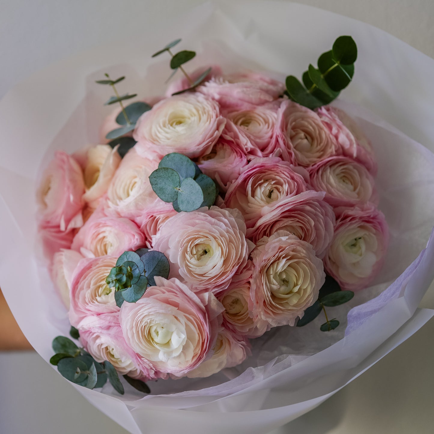 Timeless Ranunculus