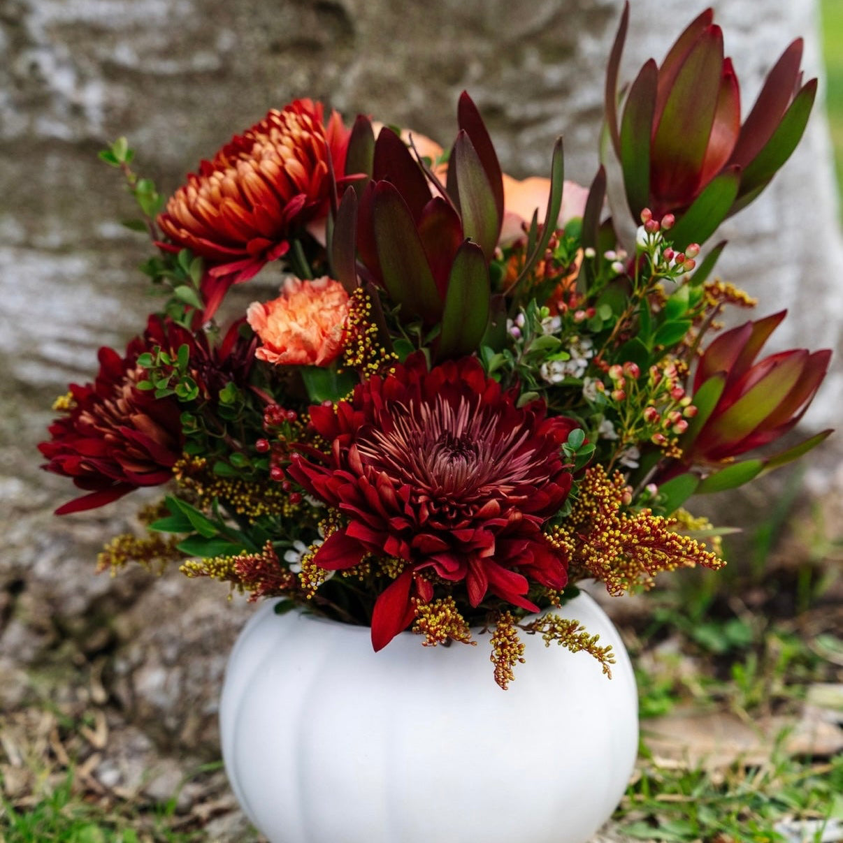 Pumpkin harvest